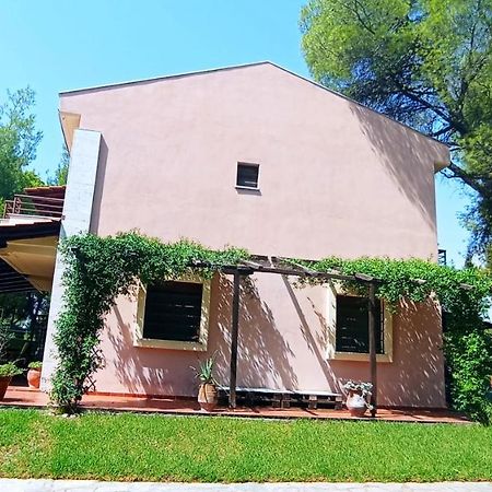 High Aesthetics Maisonette In The Wood By The Sea Metamorfosi  Bagian luar foto