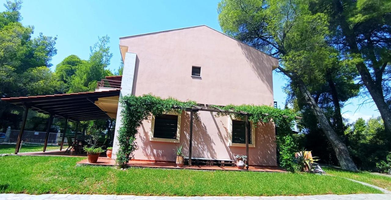 High Aesthetics Maisonette In The Wood By The Sea Metamorfosi  Bagian luar foto