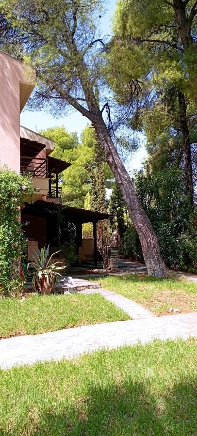 High Aesthetics Maisonette In The Wood By The Sea Metamorfosi  Bagian luar foto