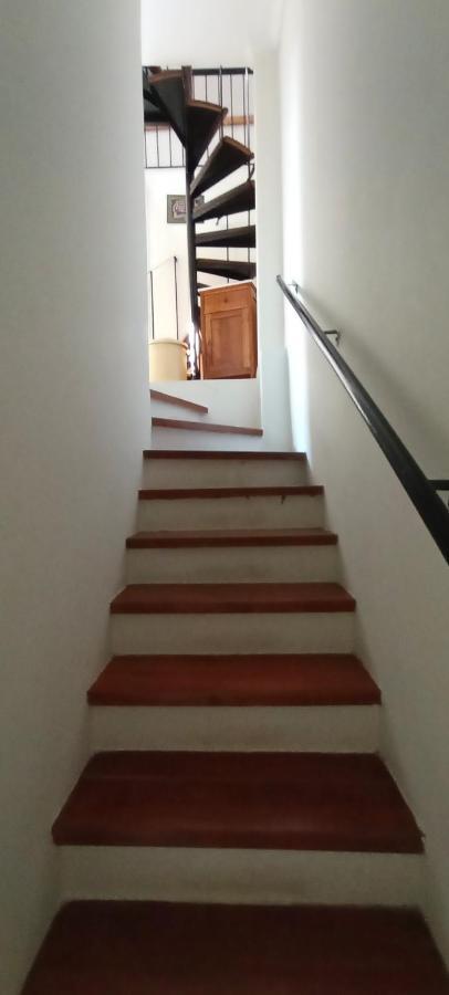 High Aesthetics Maisonette In The Wood By The Sea Metamorfosi  Bagian luar foto