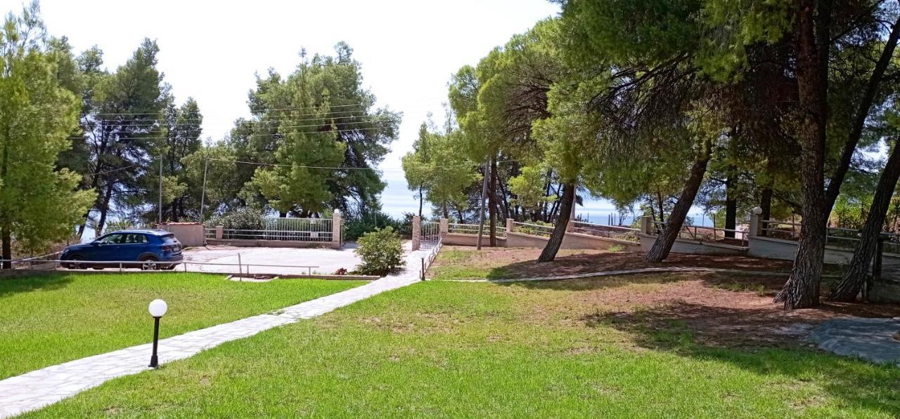 High Aesthetics Maisonette In The Wood By The Sea Metamorfosi  Bagian luar foto