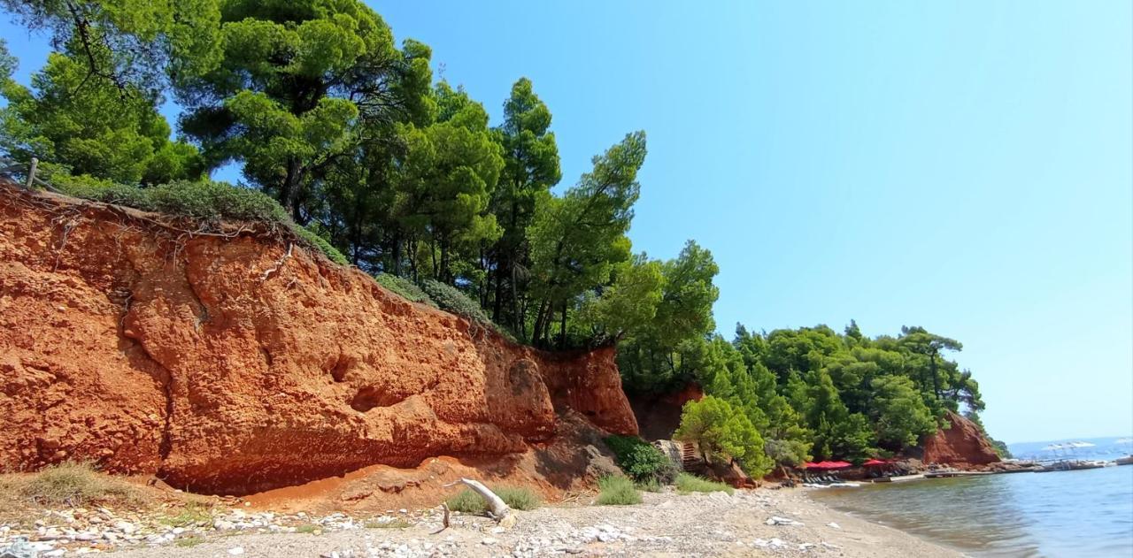 High Aesthetics Maisonette In The Wood By The Sea Metamorfosi  Bagian luar foto