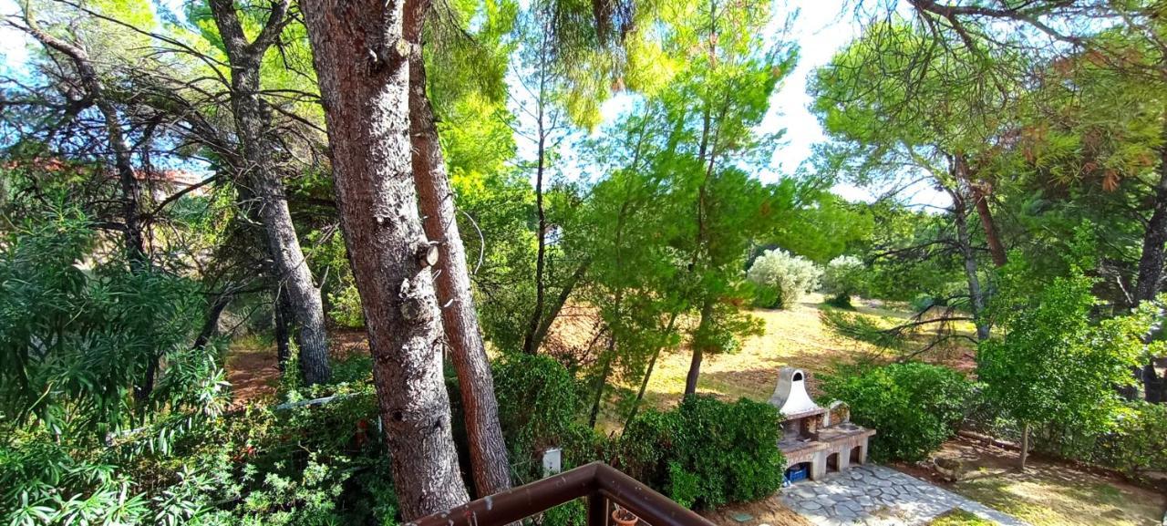 High Aesthetics Maisonette In The Wood By The Sea Metamorfosi  Bagian luar foto
