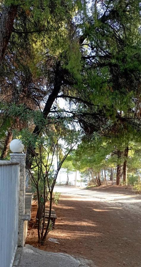 High Aesthetics Maisonette In The Wood By The Sea Metamorfosi  Bagian luar foto