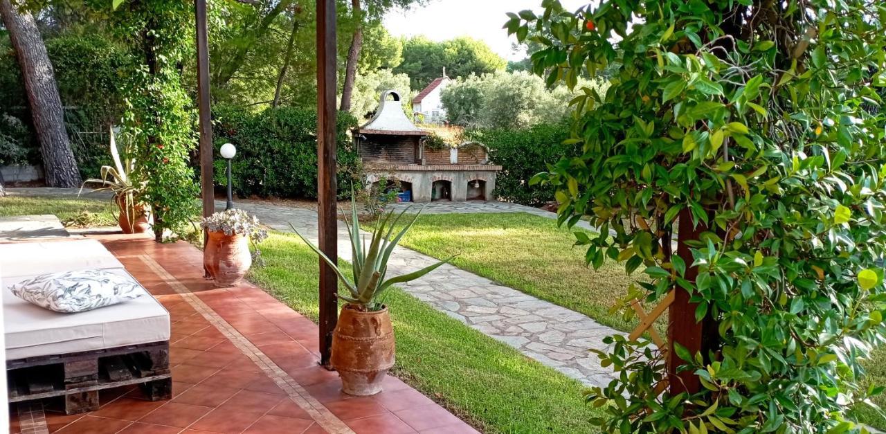 High Aesthetics Maisonette In The Wood By The Sea Metamorfosi  Bagian luar foto