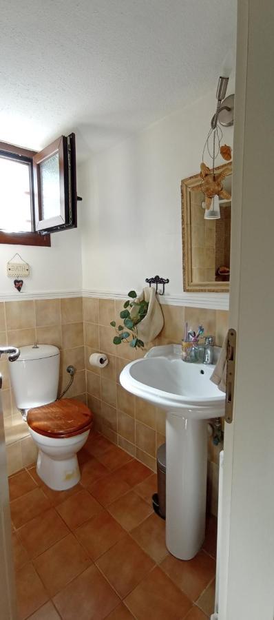 High Aesthetics Maisonette In The Wood By The Sea Metamorfosi  Bagian luar foto