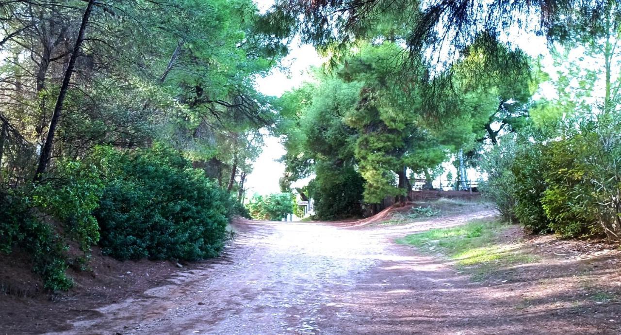 High Aesthetics Maisonette In The Wood By The Sea Metamorfosi  Bagian luar foto