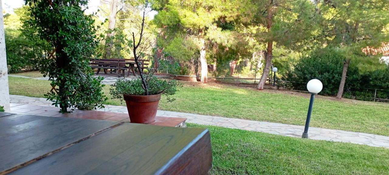 High Aesthetics Maisonette In The Wood By The Sea Metamorfosi  Bagian luar foto