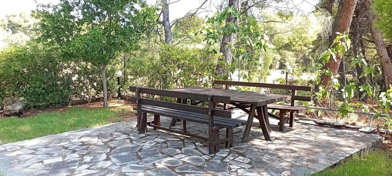 High Aesthetics Maisonette In The Wood By The Sea Metamorfosi  Bagian luar foto