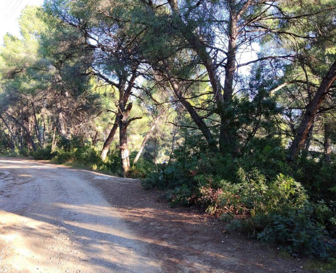 High Aesthetics Maisonette In The Wood By The Sea Metamorfosi  Bagian luar foto