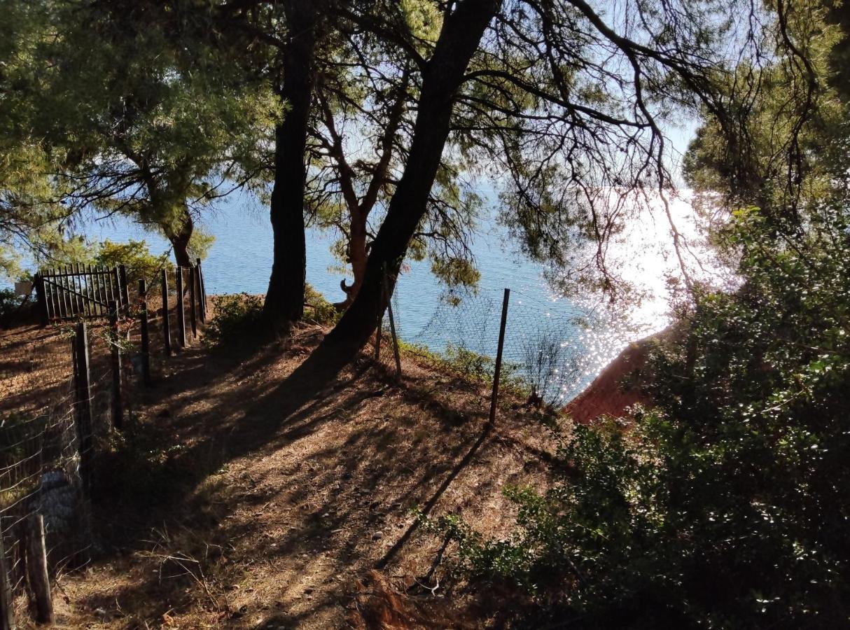 High Aesthetics Maisonette In The Wood By The Sea Metamorfosi  Bagian luar foto